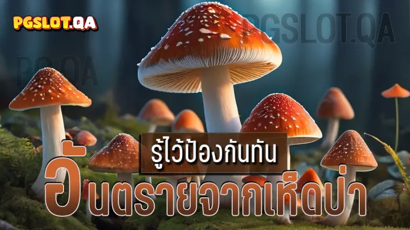 อันตรายจากเห็ดป่า