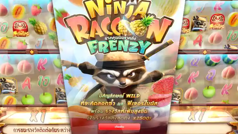 Ninja Raccoon Frenzy