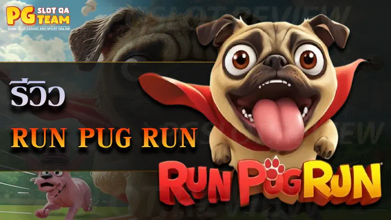 Run Pug Run