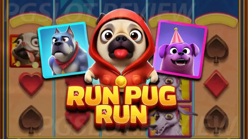 Run Pug Run